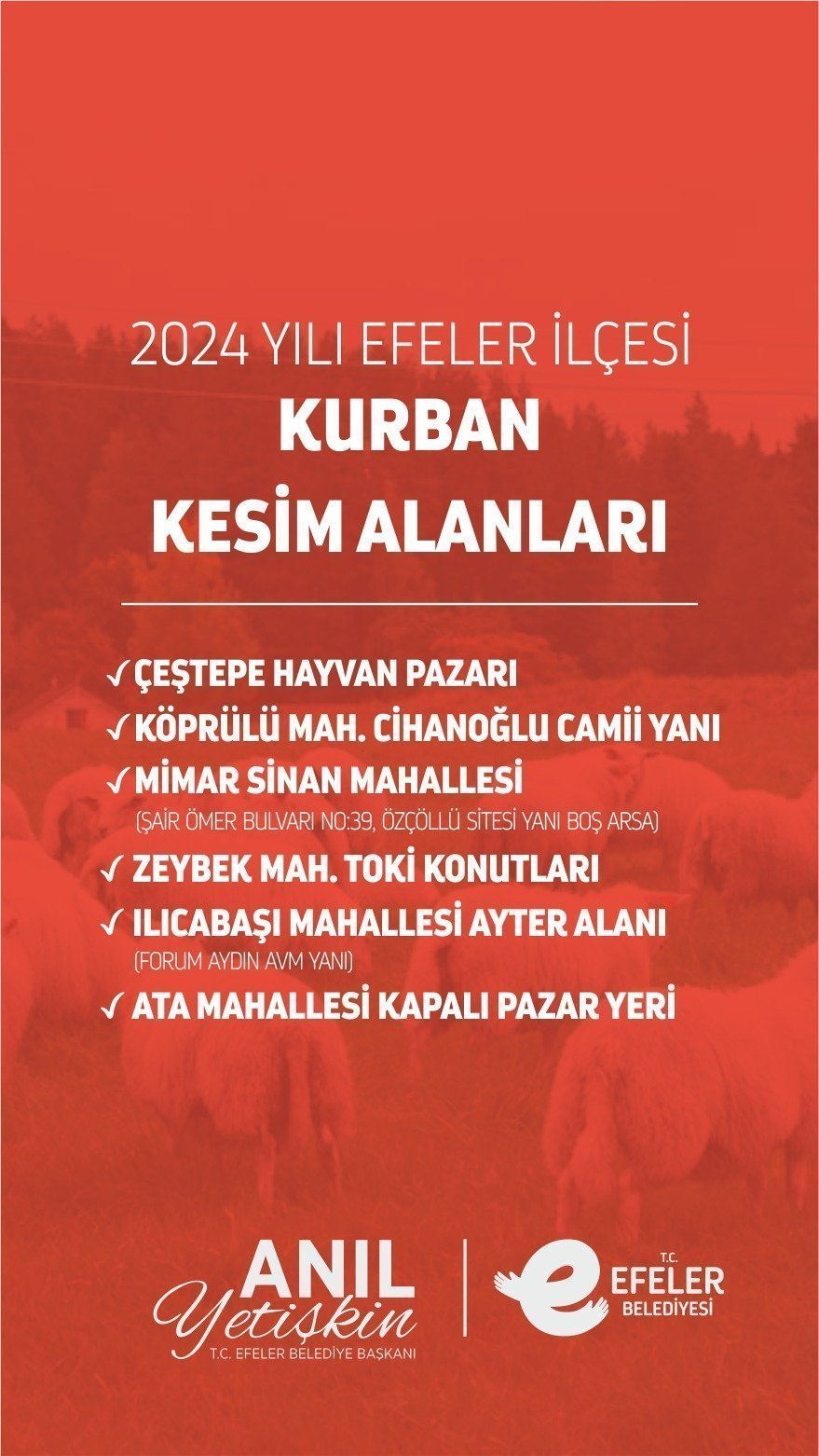Efeler’de kurban kesim noktaları belirlendi