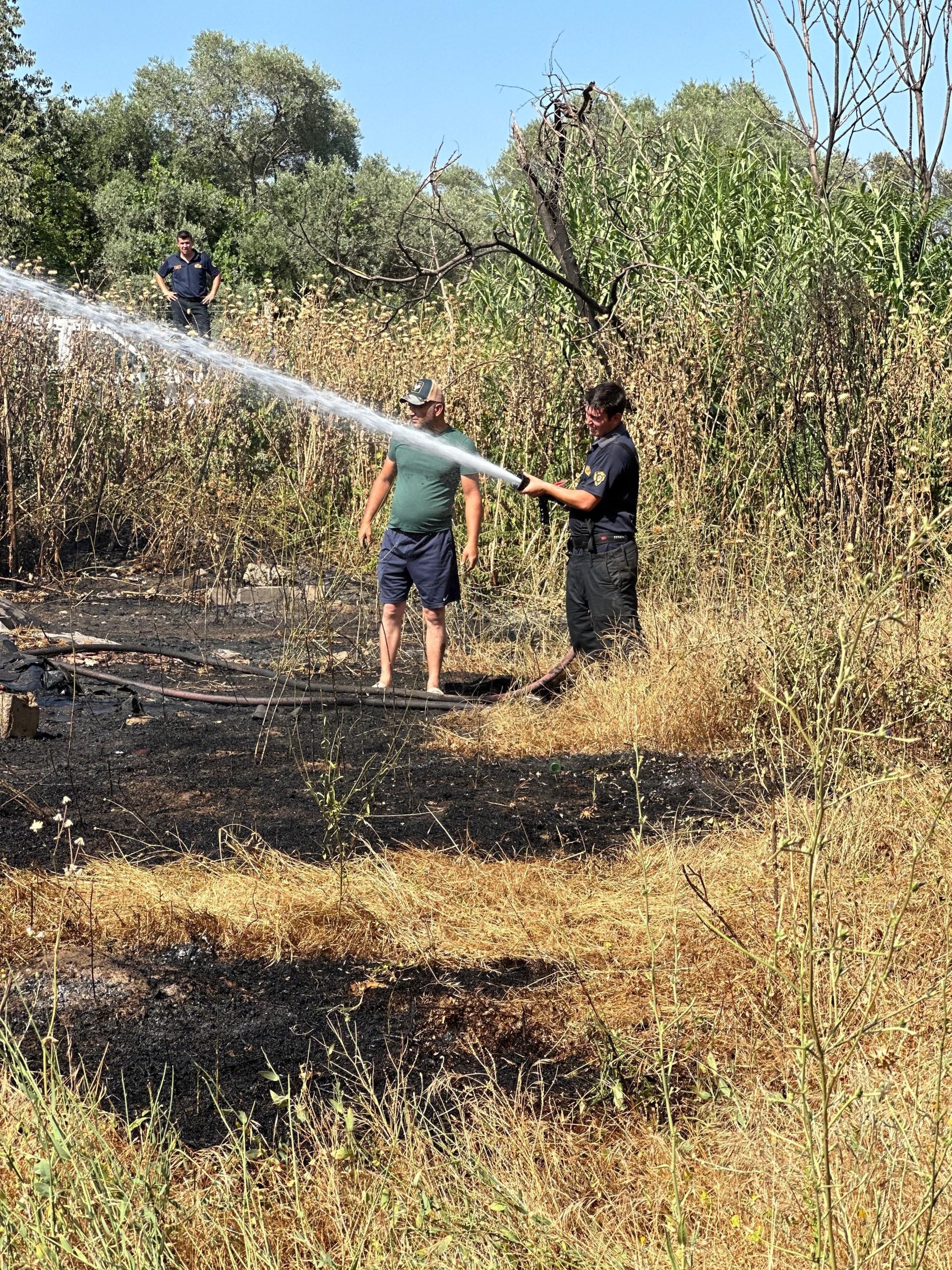 Nazilli’de zeytinlik alanda yangın