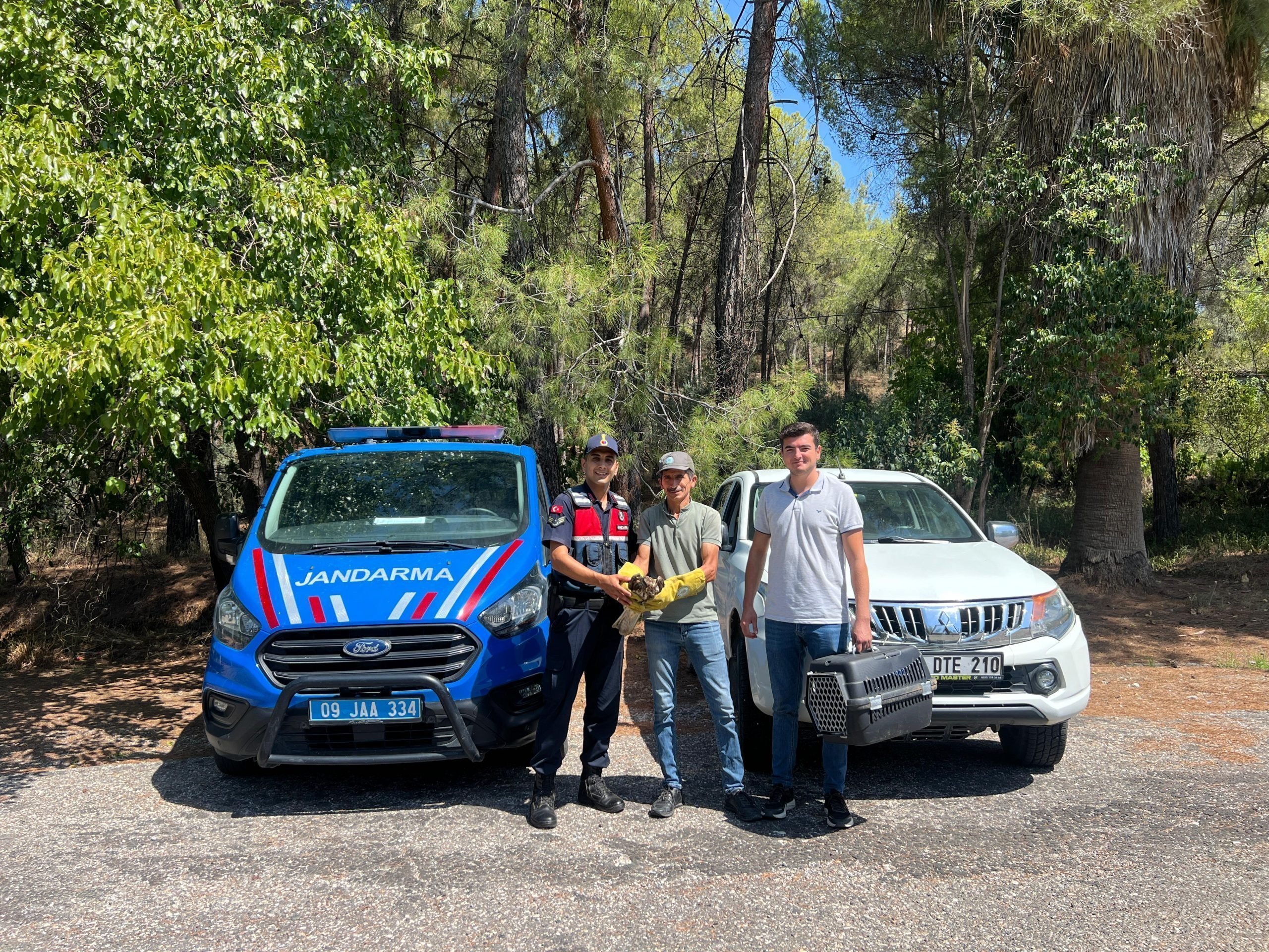 Jandarma ekiplerinden yaralı şahine yardım eli