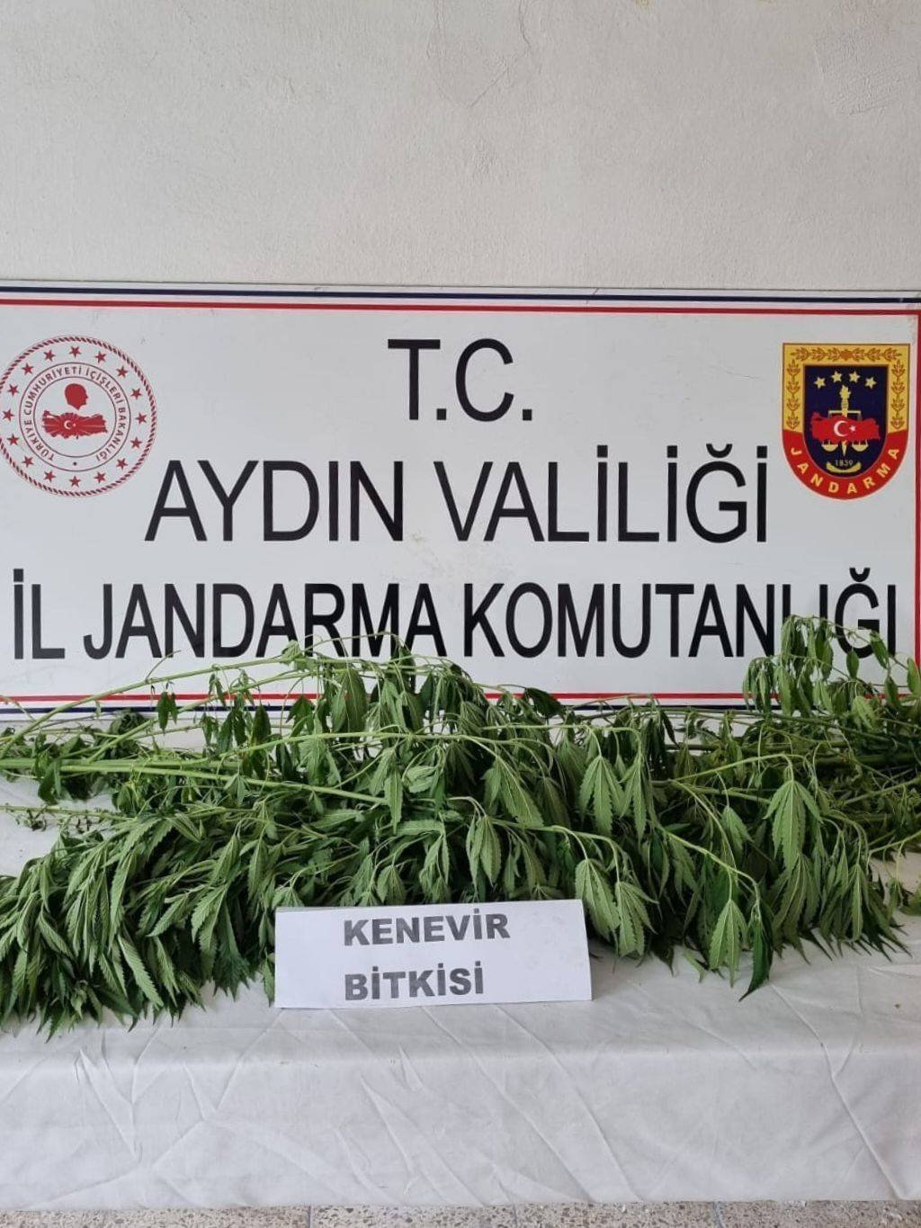 Aydın’da uyuşturucu operasyonu