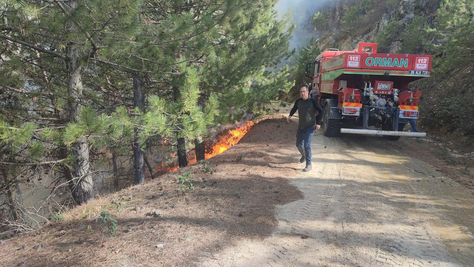 Aydın’da 2 hektar orman kül oldu