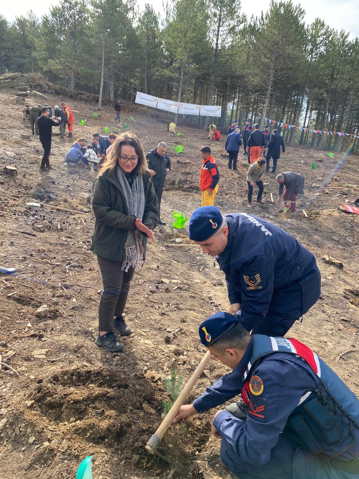 Çine’de “Yeşil vatan” için fidanlar toprakla buluştu