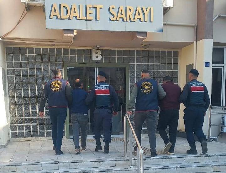 Aydın’da zeytin hırsızları enselendi