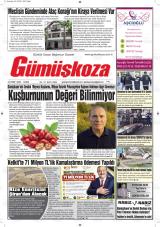 GÜMÜŞKOZA
