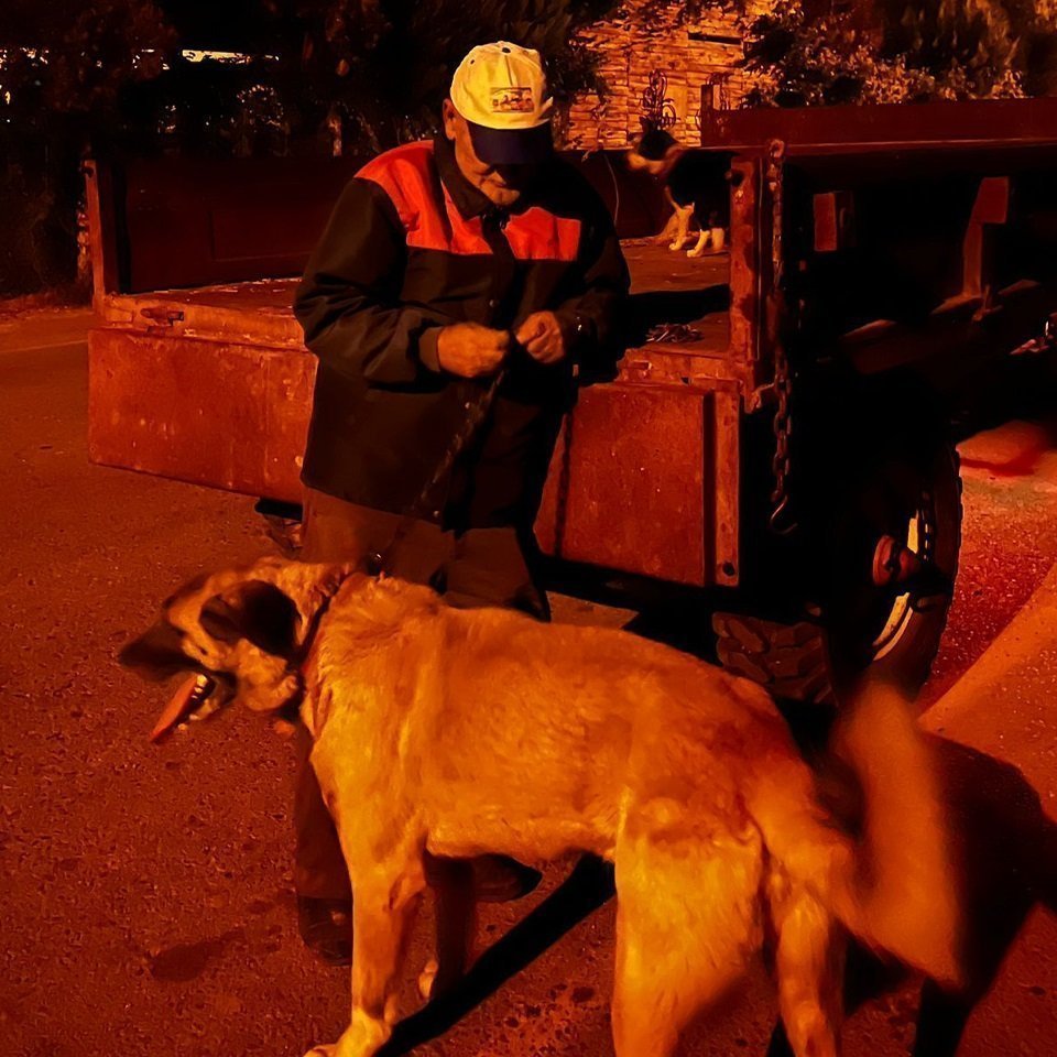 Römorka bağladığı köpeği metrelerce sürükledi