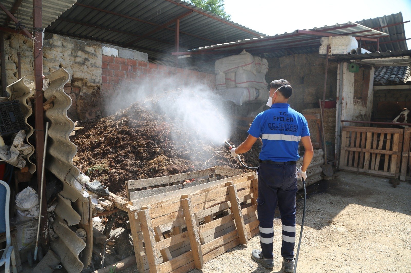 Efeler’de ilaçlama çalışmaları hızla devam ediyor   