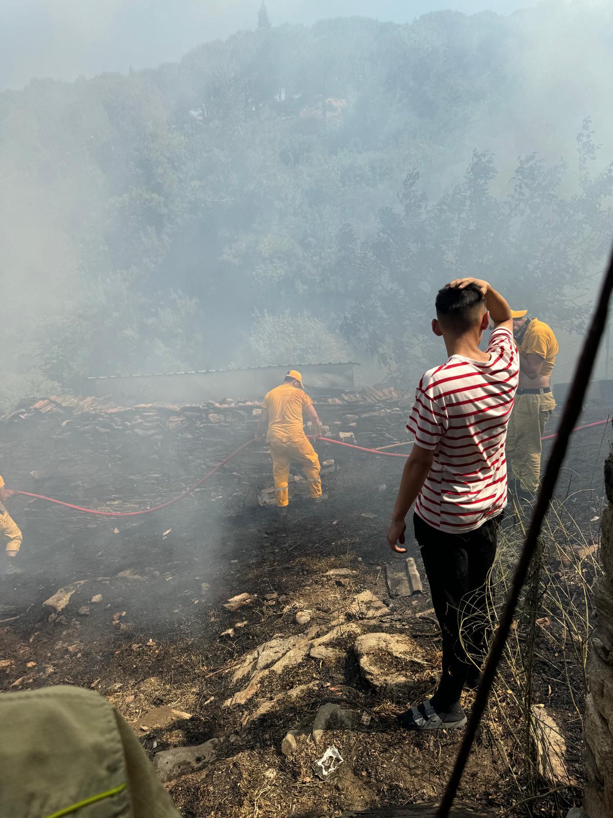 Koçarlı’da çıkan yangın evlere sıçradı