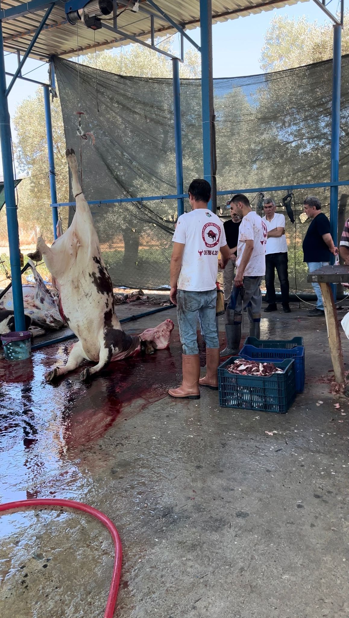 Calayır Çiftliği’nden müşterilerine teşekkür