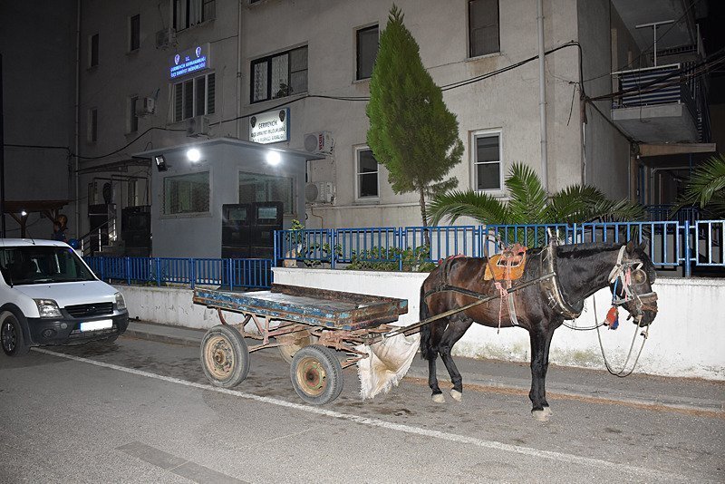 Alkollü at arabasına binen sürücüye ceza