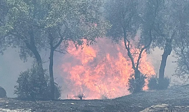 Aydın itfaiyesi 48 saatte 81yangına müdahale etti
