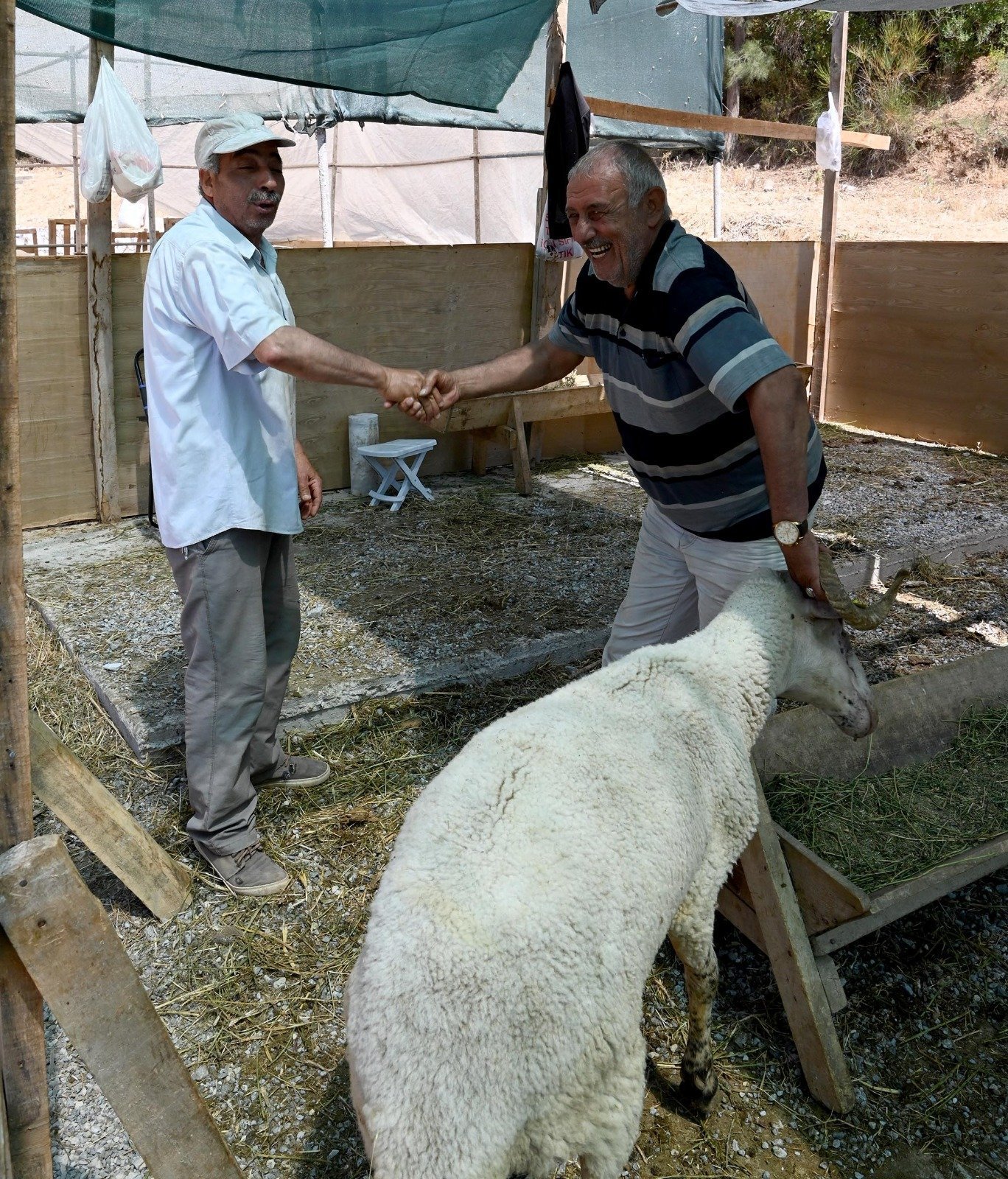 Kurban satış ve kesim alanları  kurban bayramına hazır
