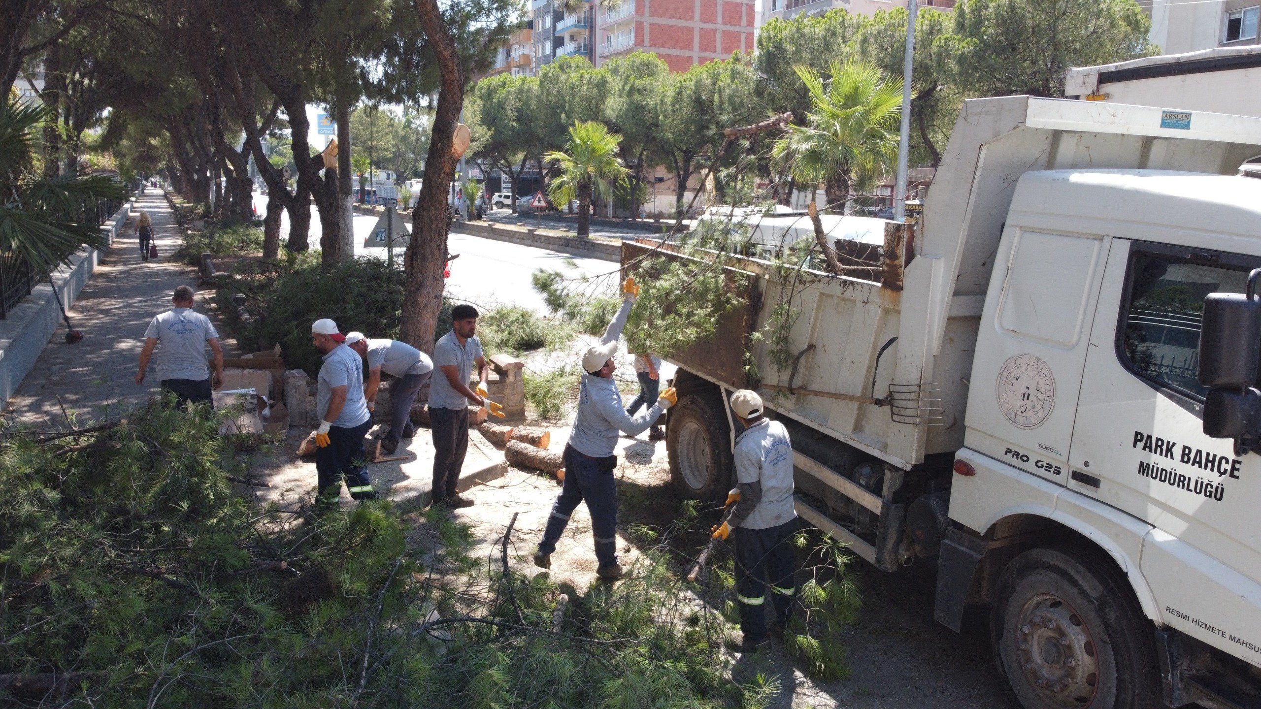 Vatandaşların, can ve mal güvenliği için tehlike arz eden ağaçlar budandı