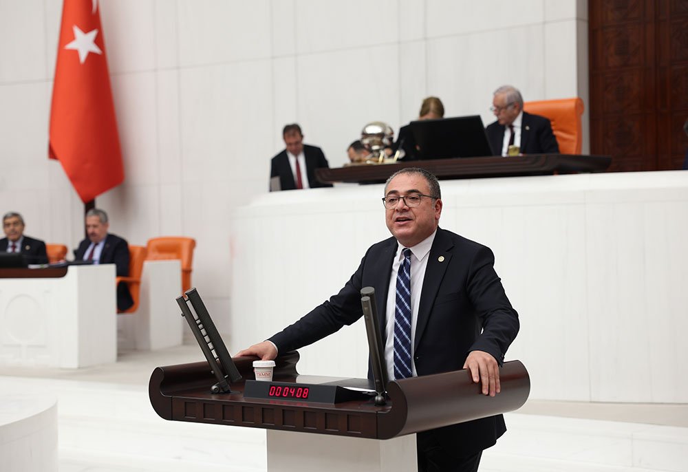 CHP’li Evrim Karakoz: “Acarlar’ın elektrik ve internet sorunu bir an önce çözün”