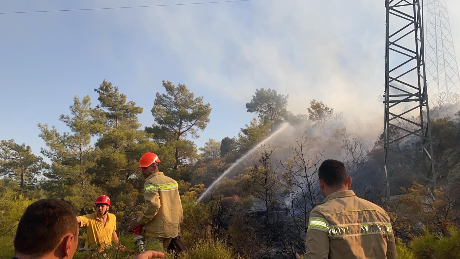 Didim’de makilik alanda yangın