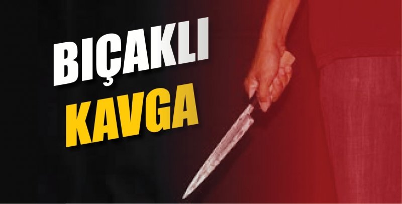 Kavgayı ayırmak isterken canından oldu