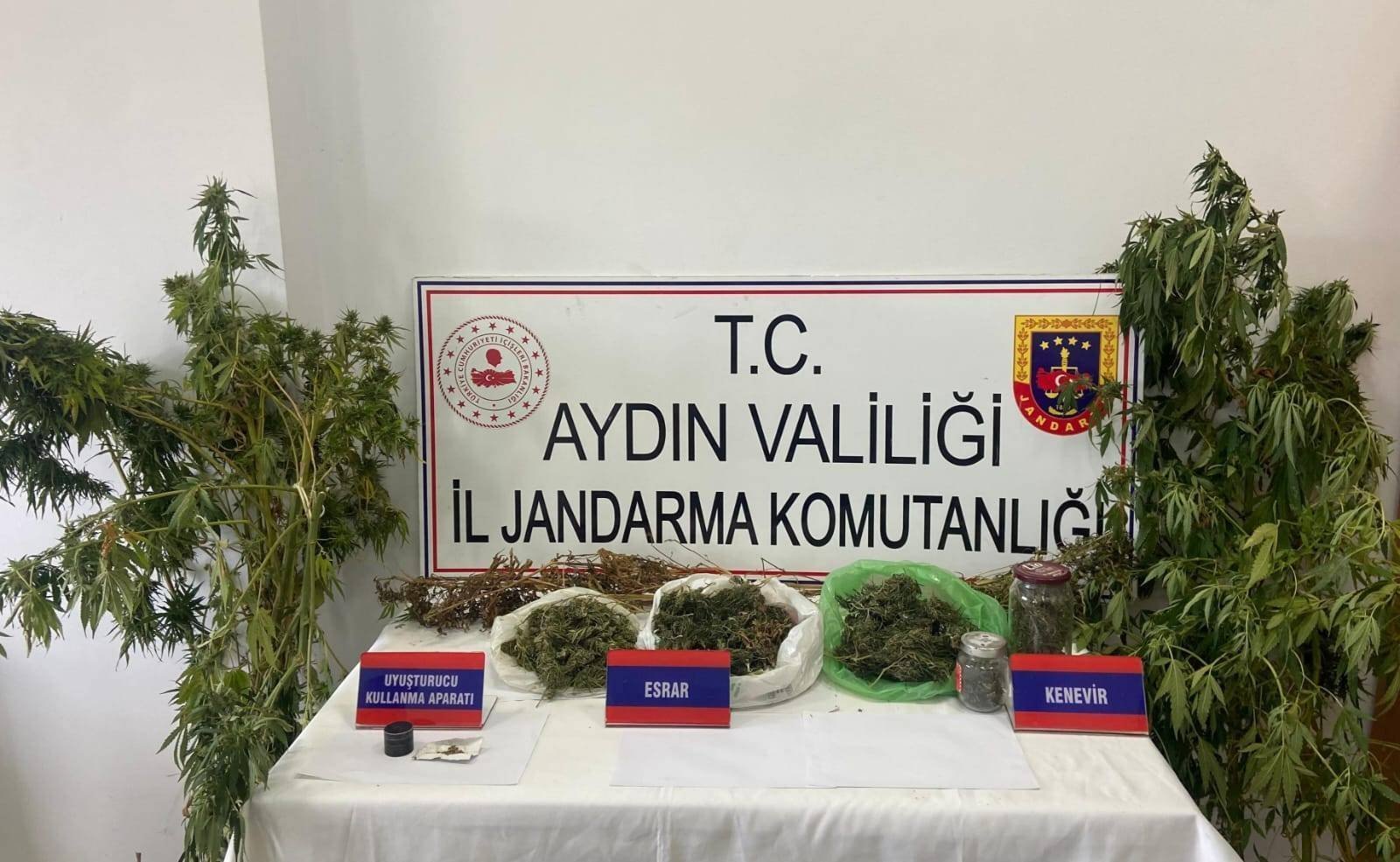 Mısır tarlasına uyuşturucu ekmiş