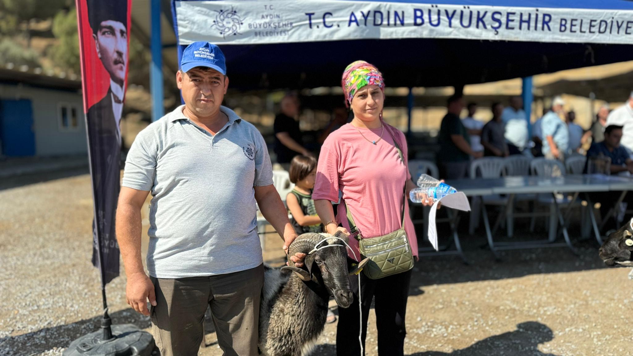 Aydın Büyükşehir Belediyesi üreticilere sakız koçu, sakız koyunu, Çine çaparı ve honamlı keçisi hibe etmeye devam ediyor