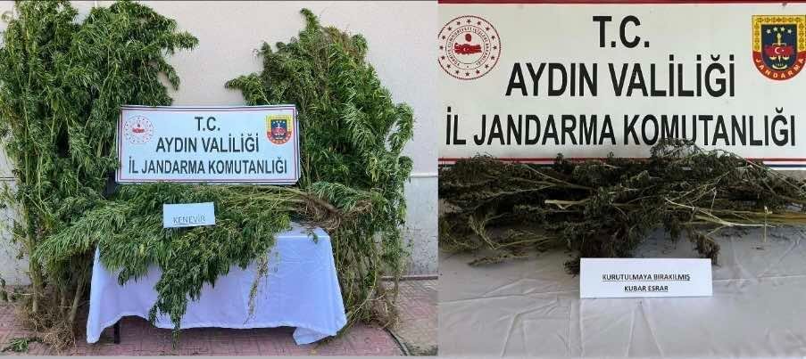 Nazilli’de 250 gram kubar esrar ele geçirdi
