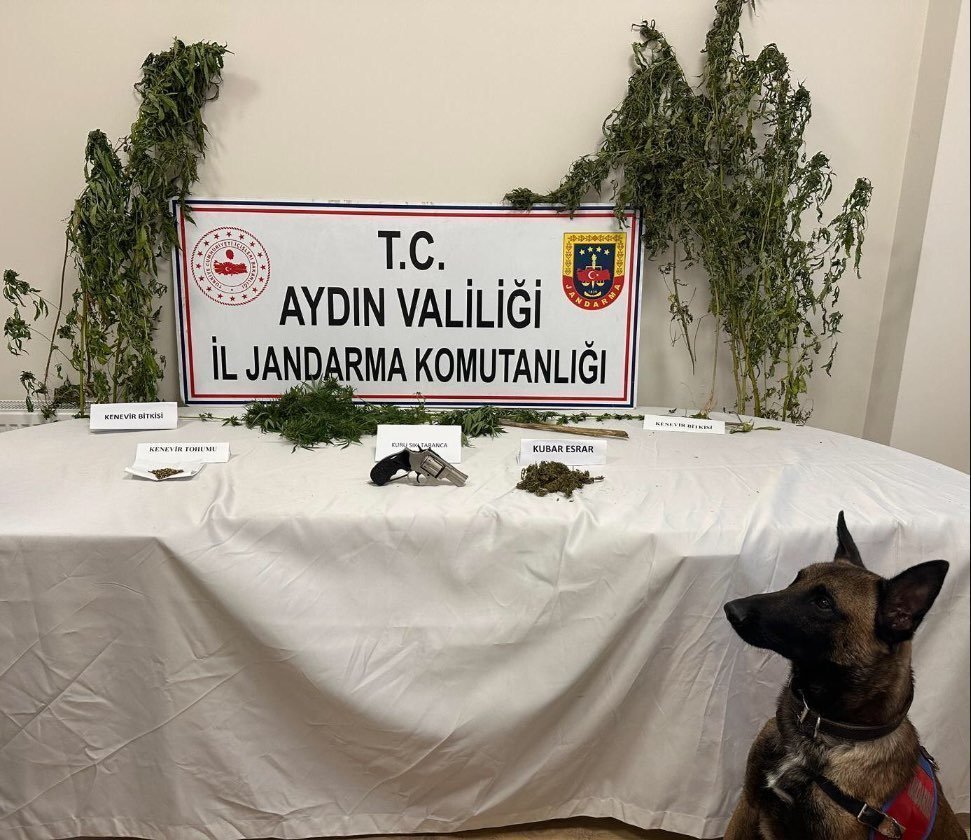 Koçarlı’da uyuşturucu operasyonu