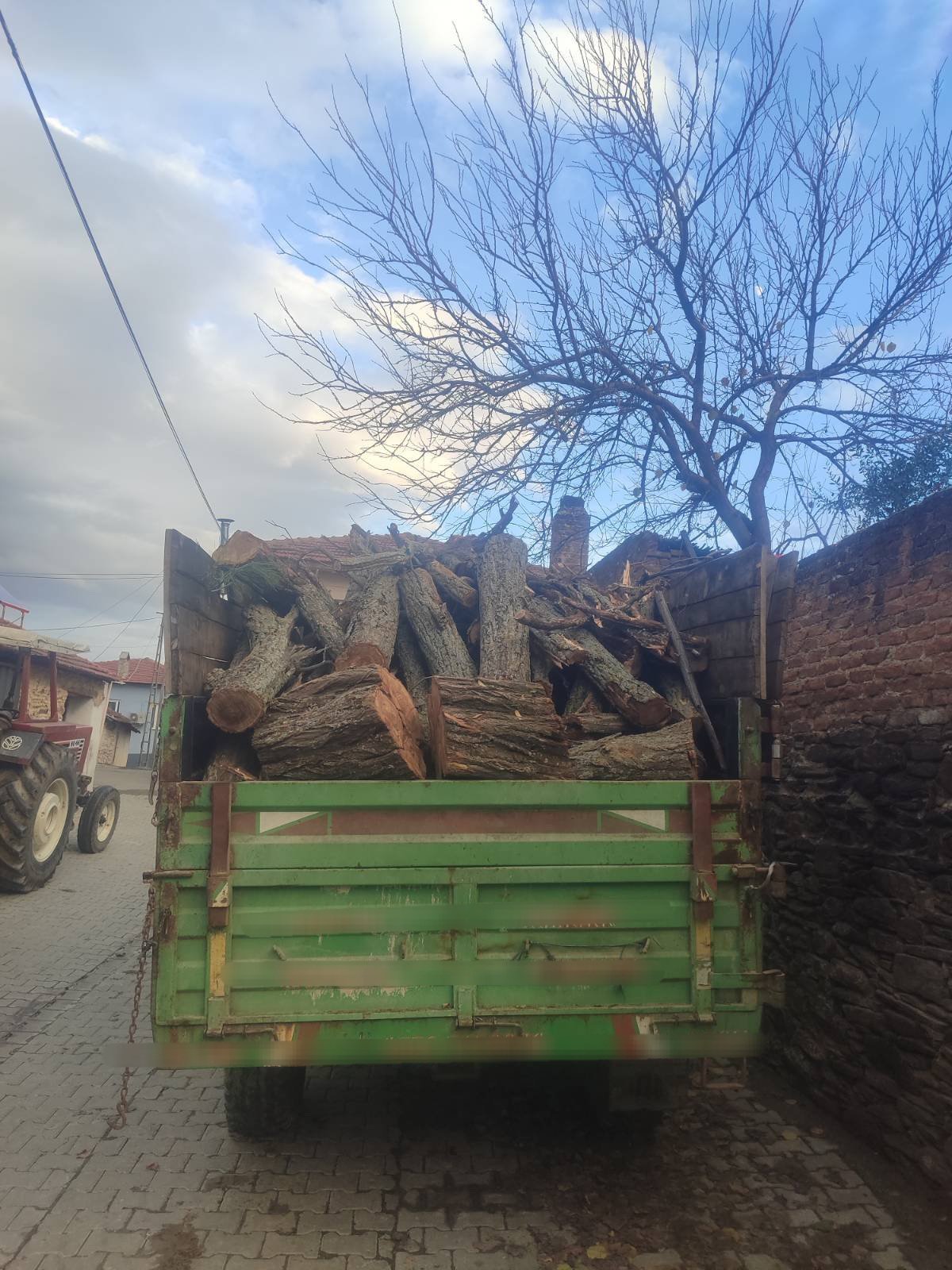 Ormanda izinsiz ağaç kesen kişi yakalandı
