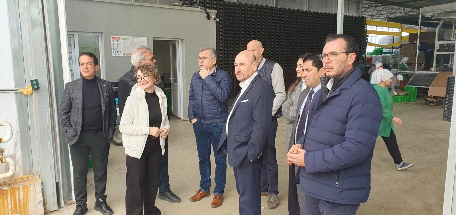 Hollandalı yatırımcılar, Aydın Sera OSB’de incelemelerde bulundu