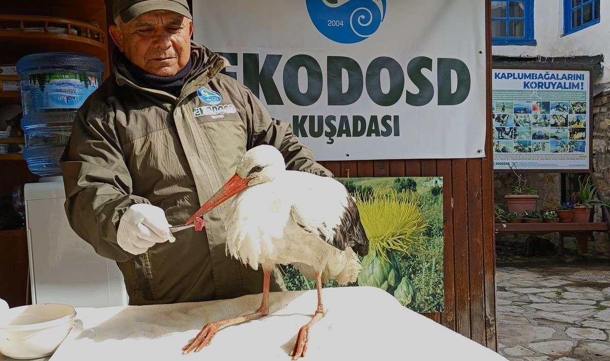Vatandaşlar Garipi sahip çıktı