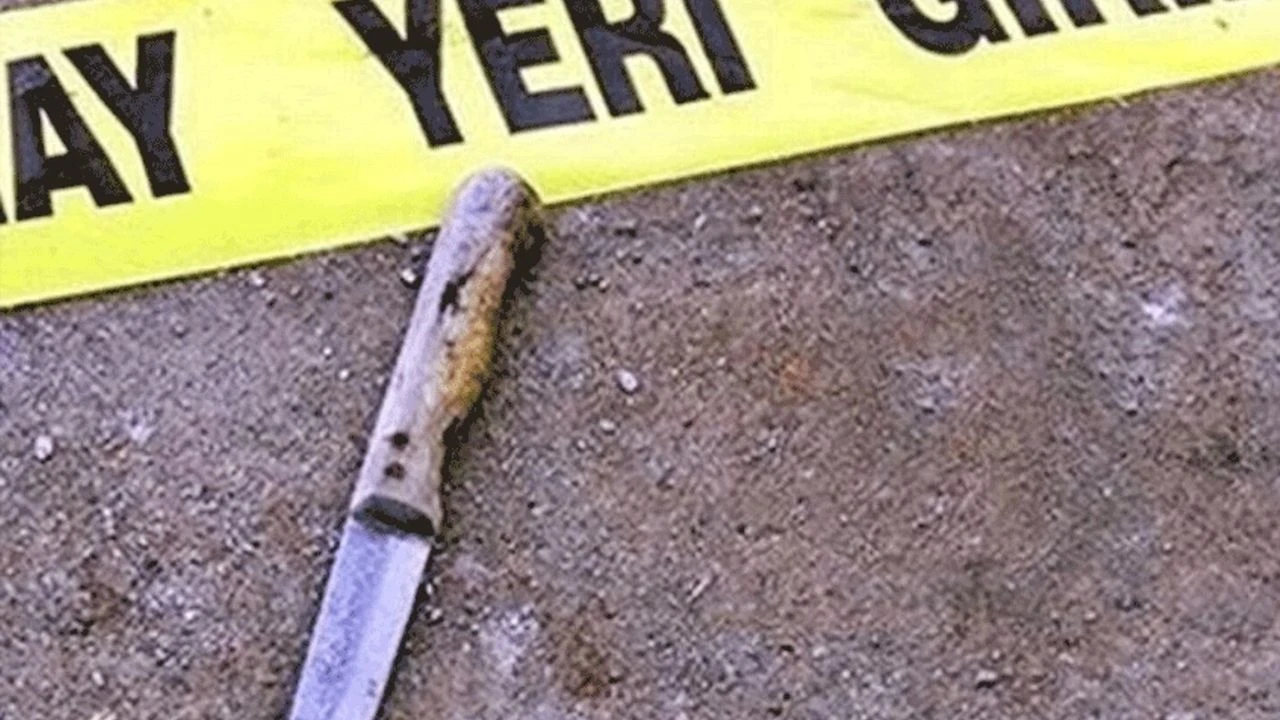 Aydın’da alkollü gençlerin kavgası kanlı bitti