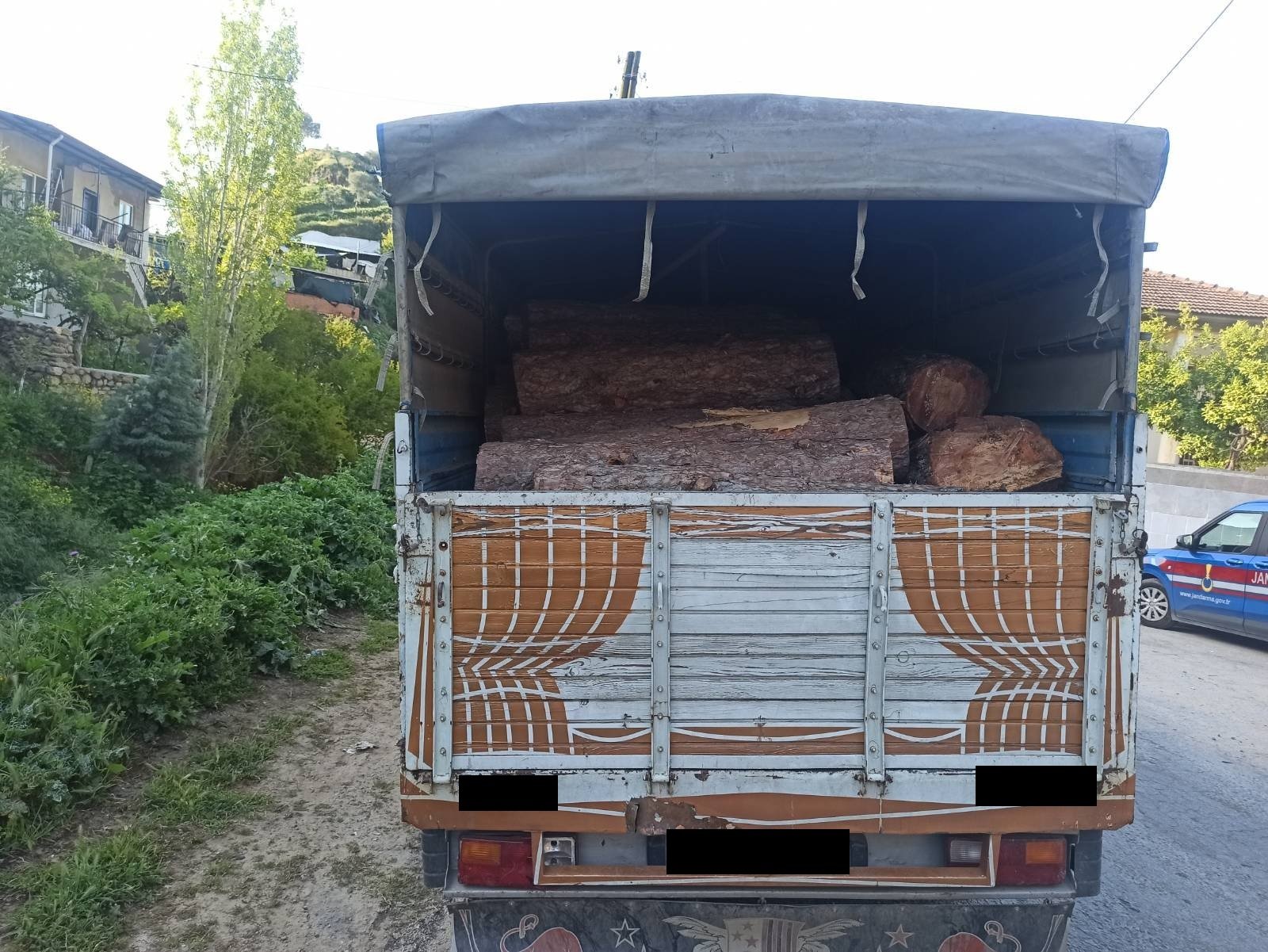 Yakalama kaydı olan kamyonetten izinsiz kesilmiş ağaç çıktı