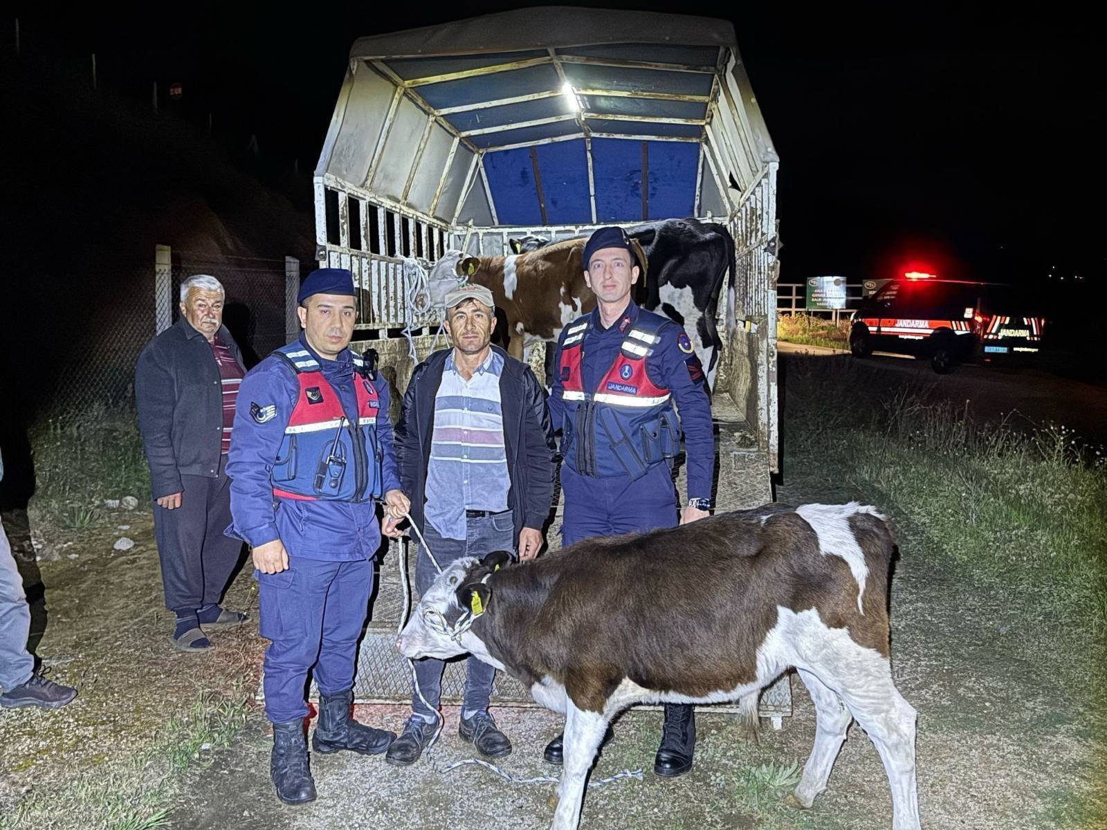 Çine’de kayıp 3 büyükbaş hayvan bulundu