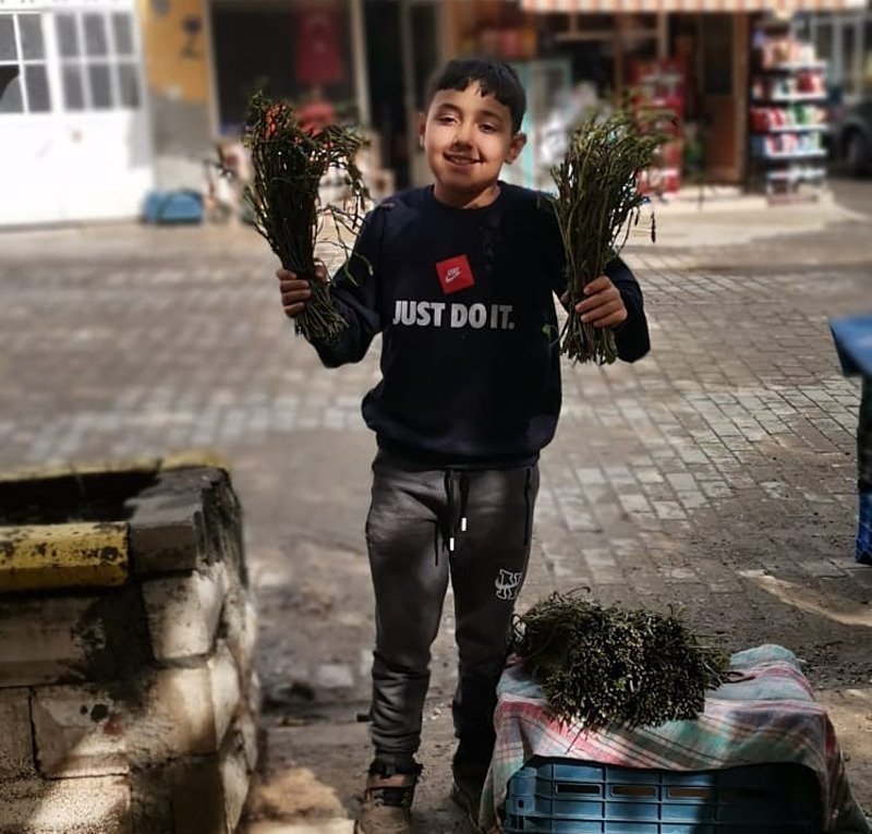 Sarmaşık, Aydın’da sofraları şenlendiriyor