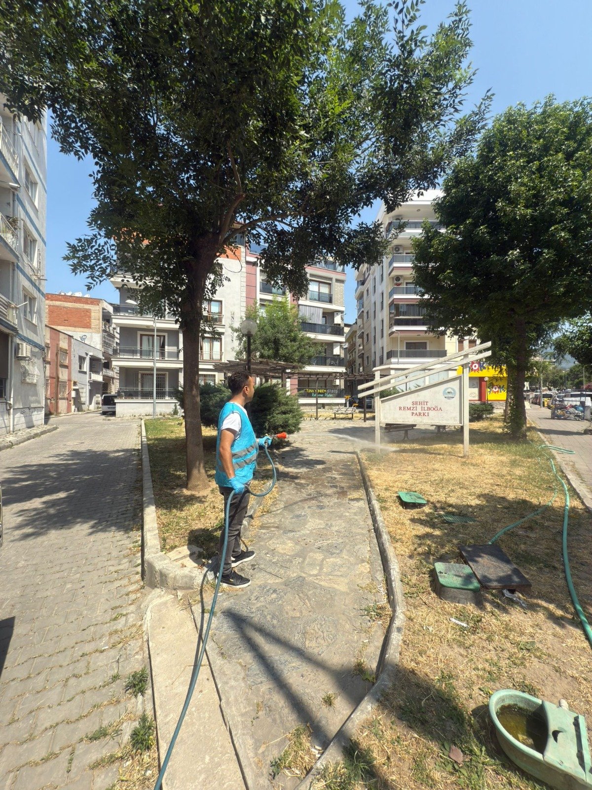 Söke Belediyesi’nden kene ve haşerelere karşı ilaçlama 