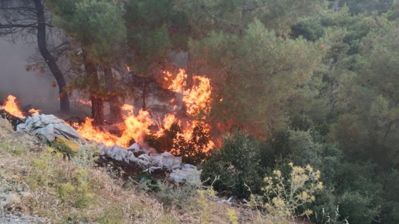 Çine’deki yangın ucuz atlatıldı