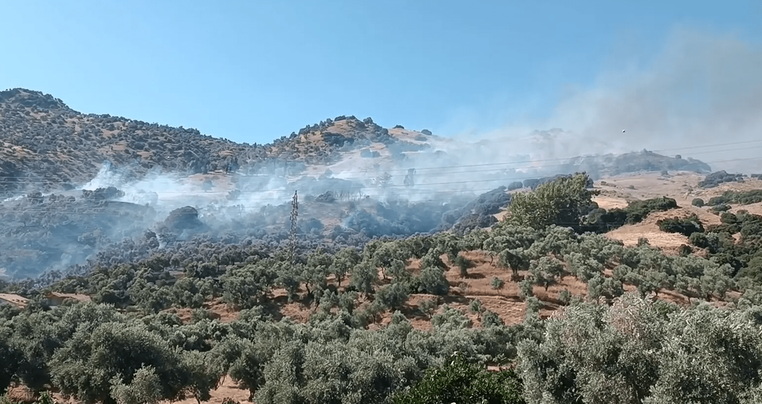 Aydın’daki yangınla ilgili 2 gözaltı