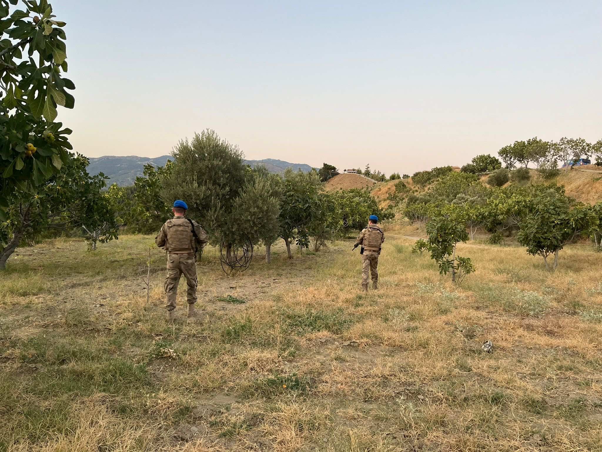 Aydın Jandarması’ndan incir hırsızlarına geçit yok