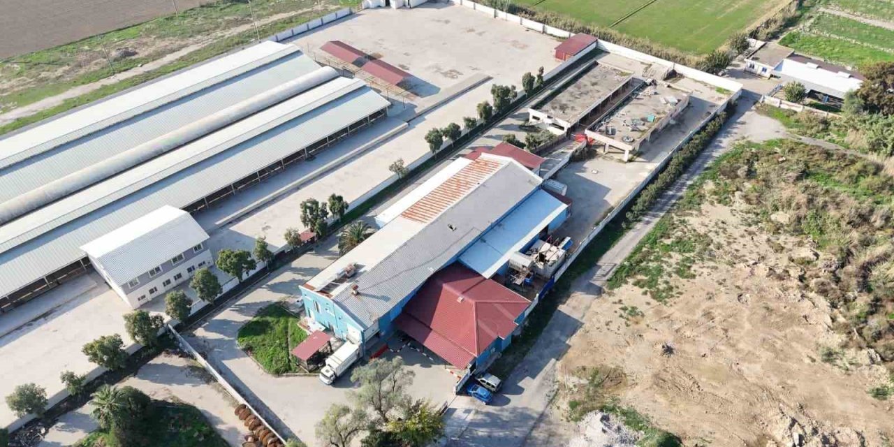 Nazilli Belediyesi mezbaha tesisleri yenilendi