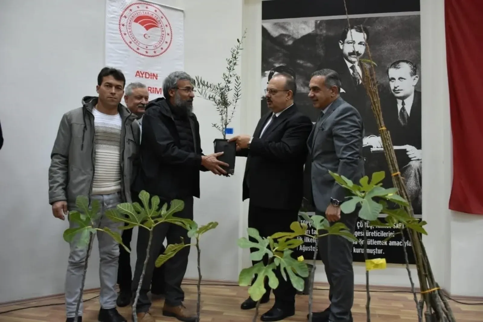 Aydın’da üreticilere 74 bin fidan dağıtılıyor