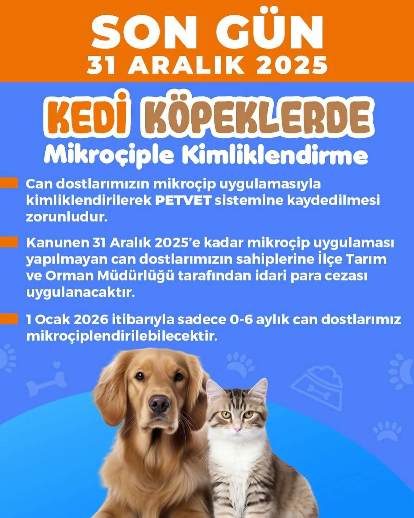 Kuşadası Belediyesi’nden açıklama; ”Can dostlar için son gün ’31 Aralık”