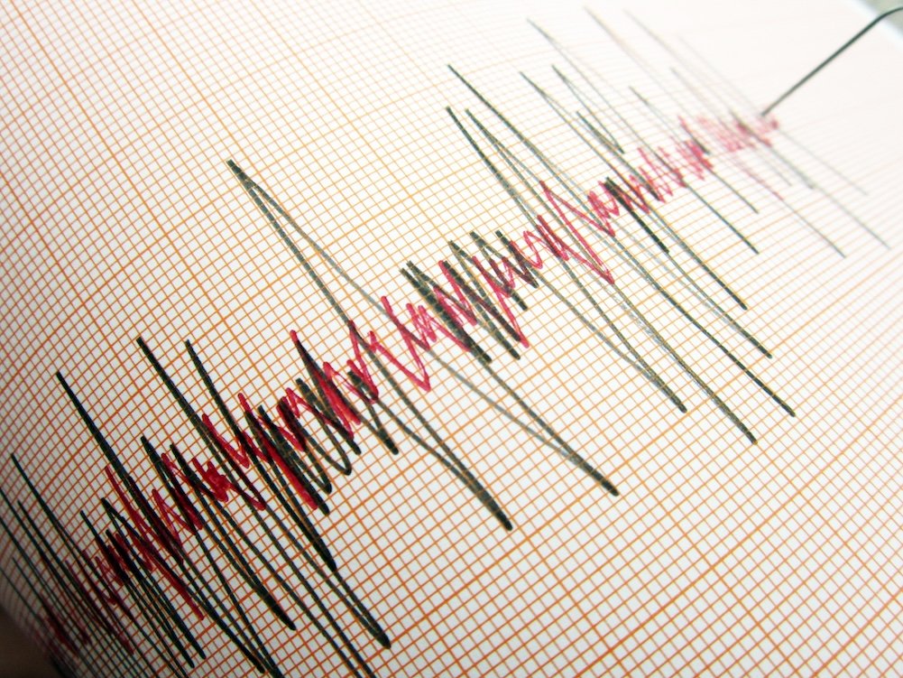 Aydın’daki deprem korkuttu