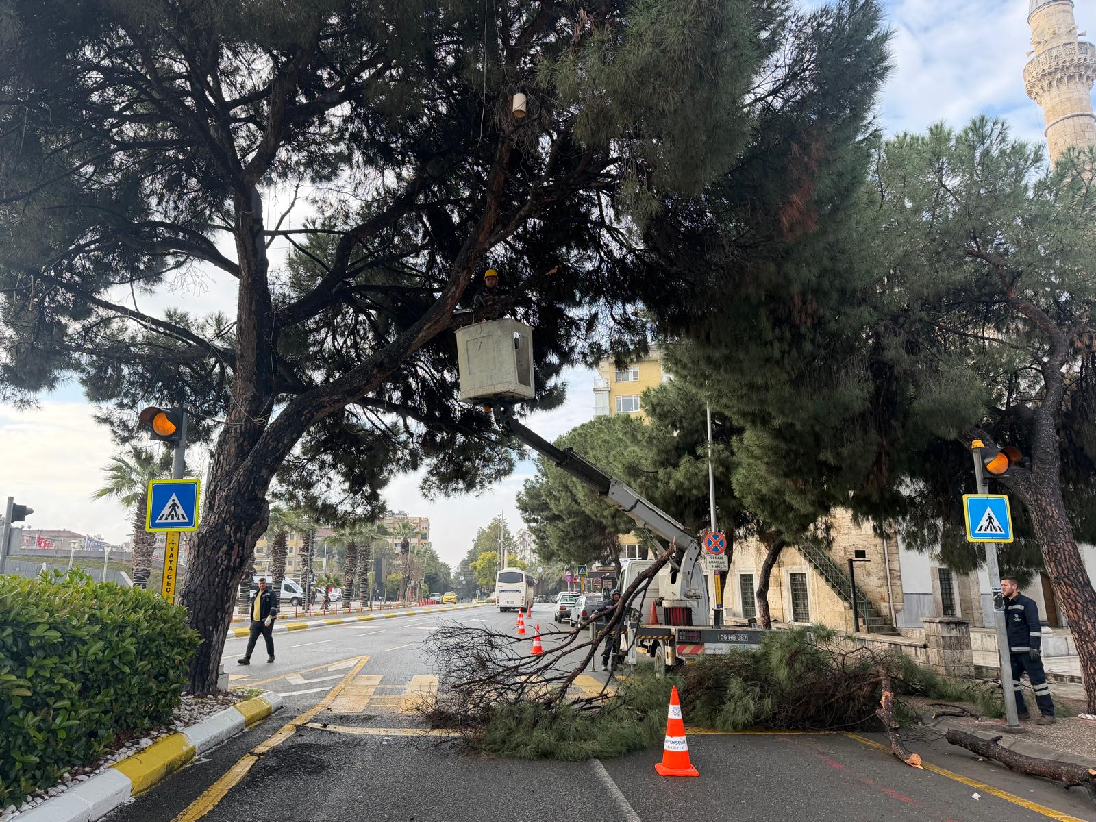 Başkan Çerçioğlu’ndan Aydın’ın yeşil dokusunu geleceğe taşıyan çalışma