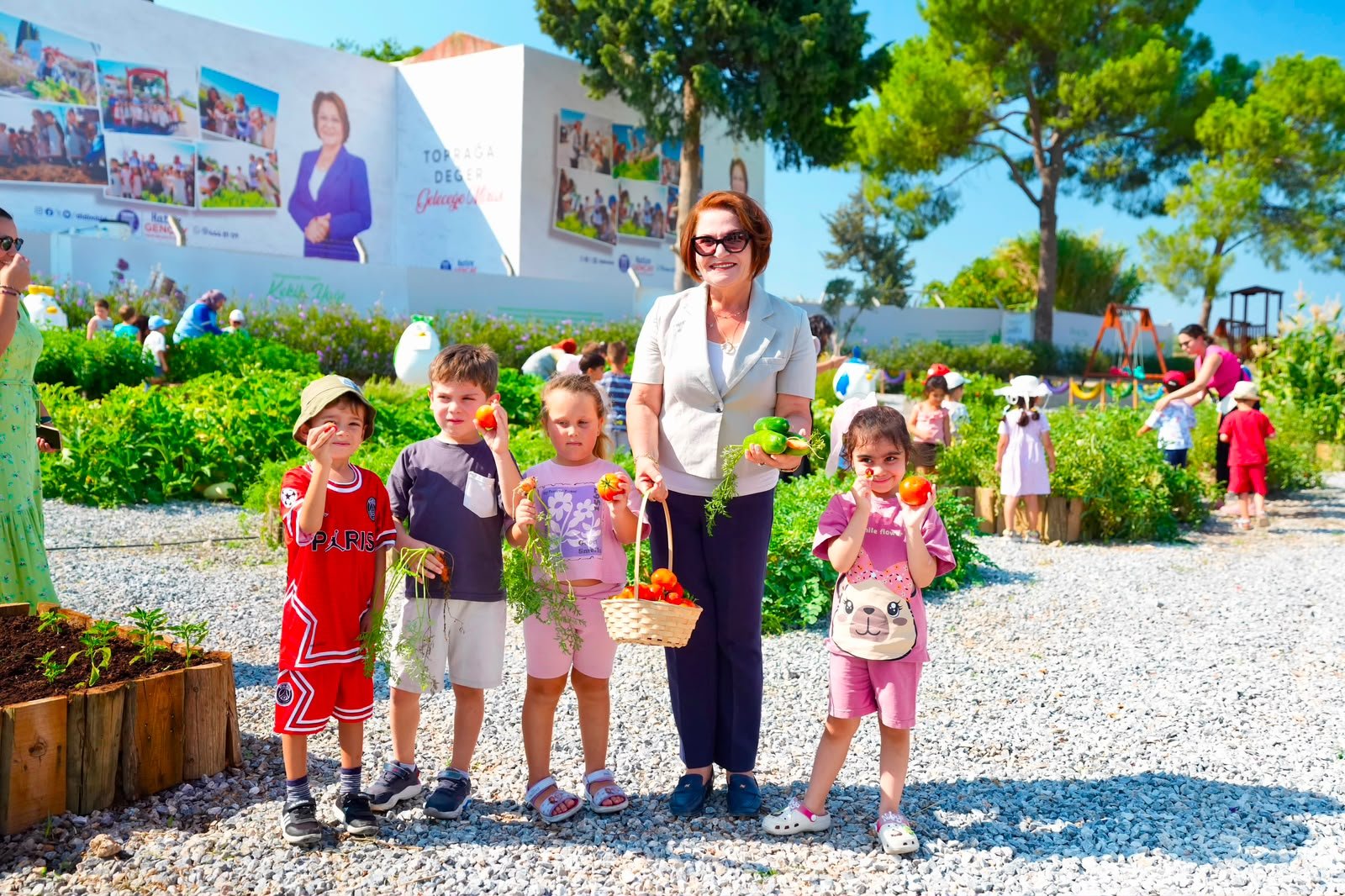 Didim Belediyesi Tarım Parkı’nda minikler hasat deneyimi yaşadı