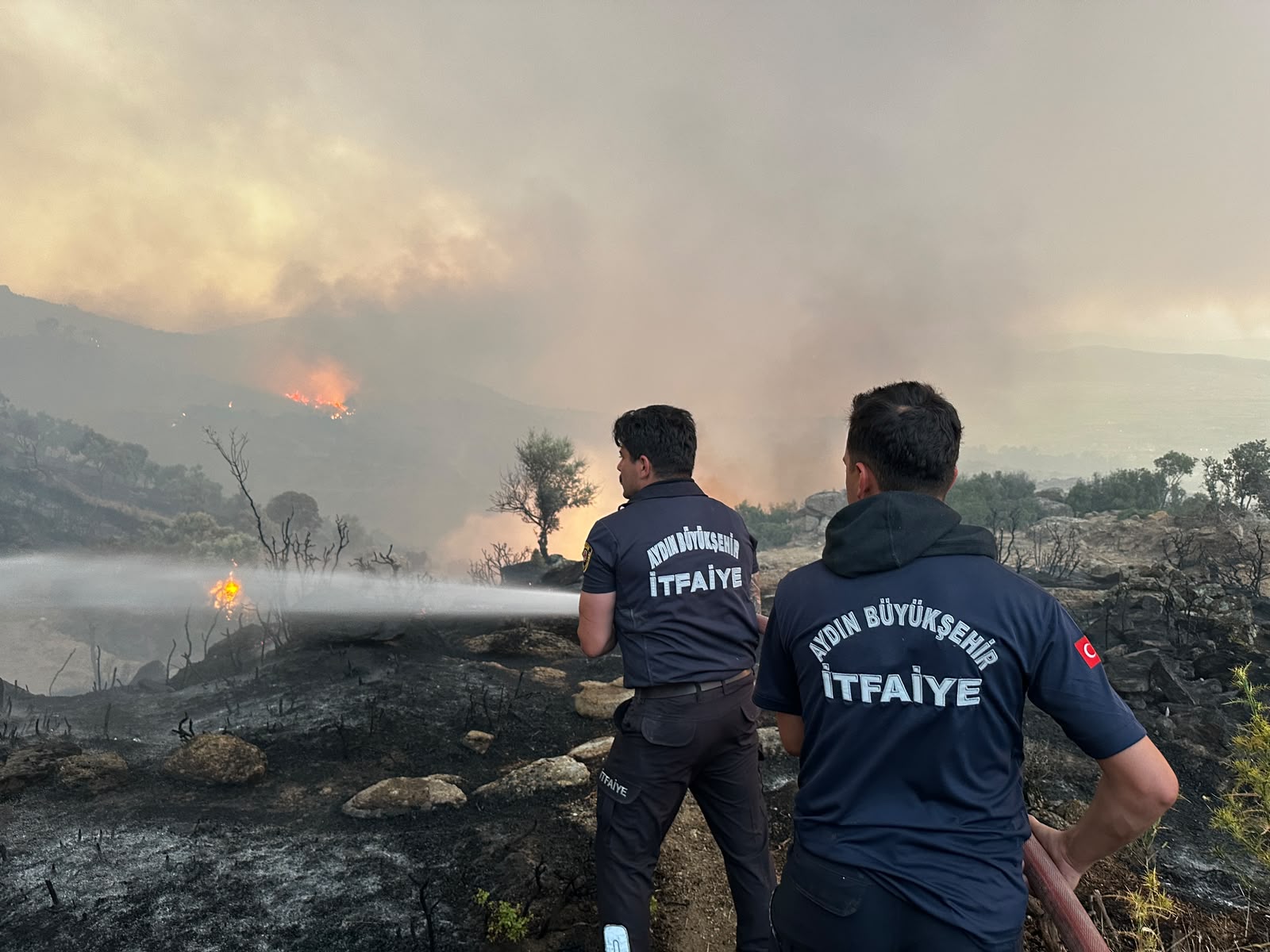 Aydın Büyükşehir itfaiyesi 1 haftada 446 yangına müdahale etti