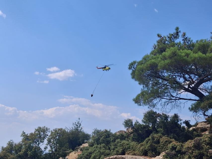 Çine’de orman yangını kontrol altına alındı