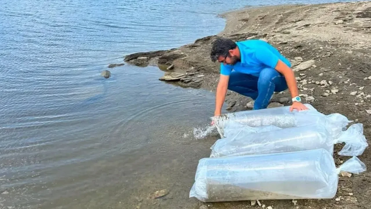 Aydın’ın su kaynaklarına yüz binlerce yeni can