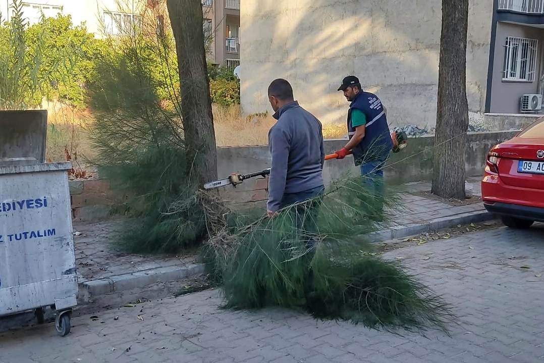Başkan Yetişkin’in öncülüğünde Efeler’in yeşil alanlarına özenli dokunuş
