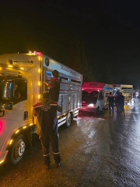 Çine Hayvan Pazarı yeniden açıldı