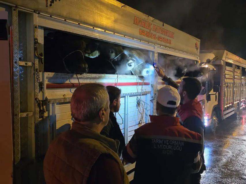 Çine’de Hayvan Pazarı’nda denetim
